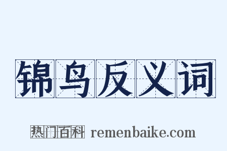 锦鸟反义词是什么意思的图片